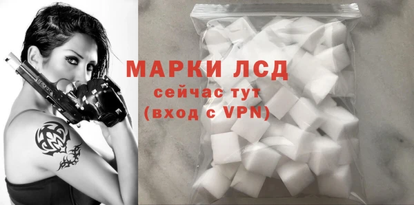 спайс Вяземский