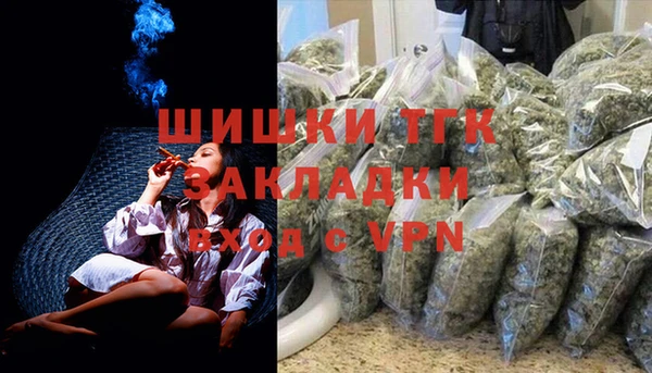 ГАЛЛЮЦИНОГЕННЫЕ ГРИБЫ Вязьма