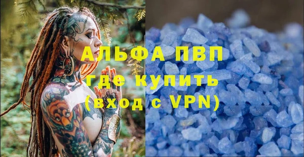 спайс Вяземский