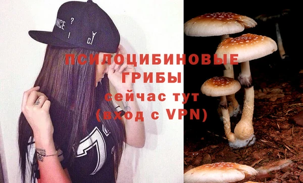 ГАЛЛЮЦИНОГЕННЫЕ ГРИБЫ Вязьма
