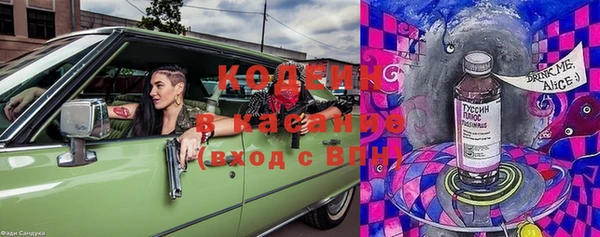 ГАЛЛЮЦИНОГЕННЫЕ ГРИБЫ Вязьма
