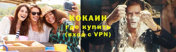 ГАЛЛЮЦИНОГЕННЫЕ ГРИБЫ Вязьма