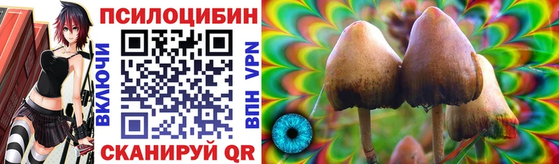 Псилоцибиновые грибы Psilocybine cubensis Ачхой-Мартан