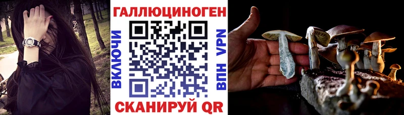Псилоцибиновые грибы Psilocybe Ачхой-Мартан